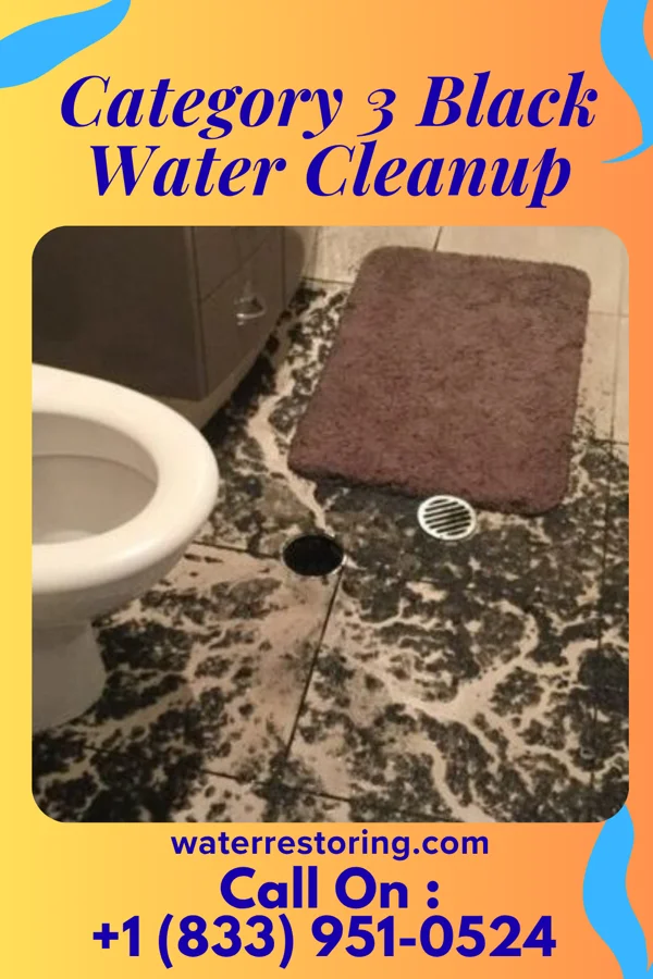 Category 3 Black Water Cleanup in England, AR