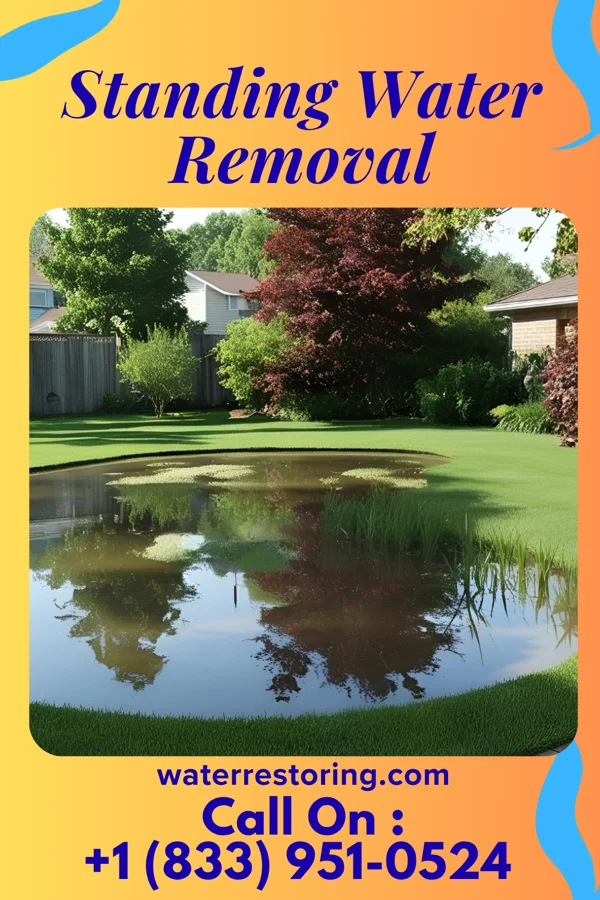 Standing Water Removal in England, AR